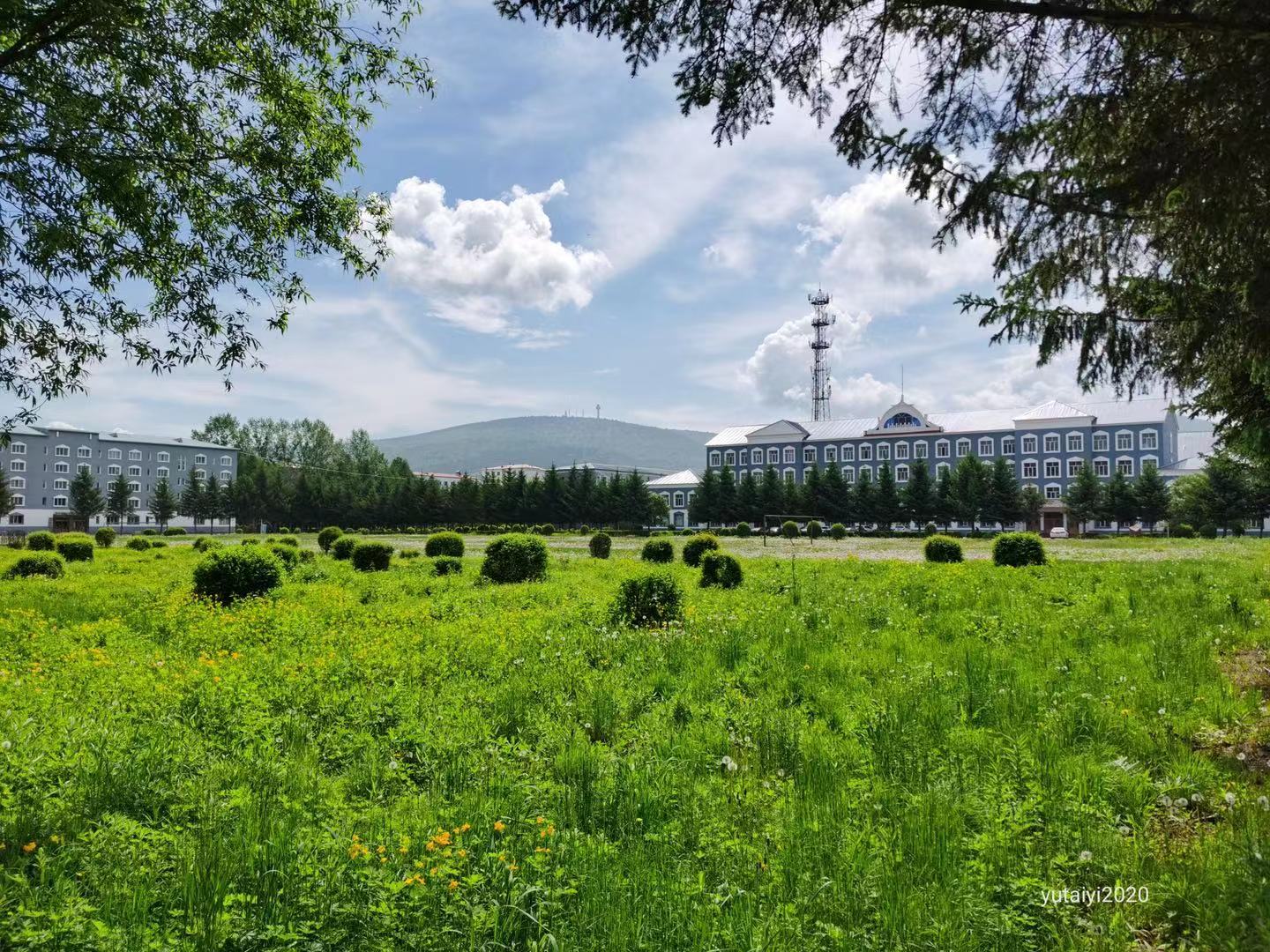 校园风光-伊春职业学院 - 伊春职业学院 黑龙江大学伊春分校 打造林区